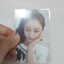 쪼아쪼아 이미지