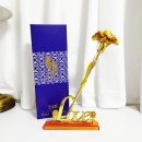 네버스탑YB 이미지