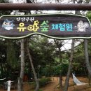 용두2공원 이미지