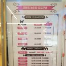 뽀도독 애견카페 이미지