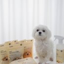 웰니스 펫뷰티 | 자주 강아지 용품 펫라인 JAJU 웰니스 애견용품 후기