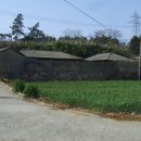 달리도 민박 이미지