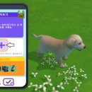 퍼피프렌즈 이미지