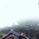 준호폰 네이버블로그
