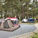 정선군생태체험학습장캠핑장 이미지