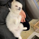 장싸롱 | 🧑🏻‍🦱 장싸롱 파마하러가서 초면에 무릎 내어준 썰 푼다