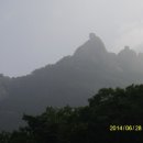 세여인곡주 이미지