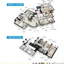 (주)엘가니 네이버블로그