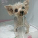 우람동물병원 이미지