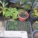 삼도자동차정비 이미지