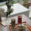 오버릿(OVERLIT) 이미지