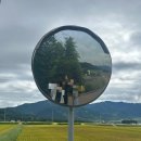 (주)세븐일레븐동작대로점 | [블챌] 9월 셋째주 일상모음
