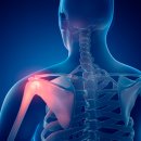 날개병원 이미지