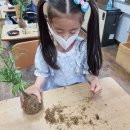 군산서초등학교 이미지