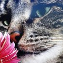 지혜의샘 이미지