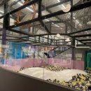 GS25청주현대점 | 커넥트현대 청주 가오픈 후기 주차 입점브랜드 총정리