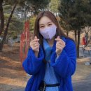 영스타라이브 Daum카페
