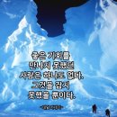 (주)노박건강나라 | 25년 12월 이야기, 5일은 노박덩굴 열매가 연출해 놓은 첫눈 풍경에 감탄하며 한시름 놓을 수 있었다