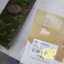 닥터스팜한약국 이미지