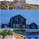 별빛농원 이미지