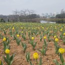 신흥공원 연합뉴스