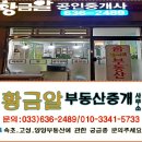 속초자이부동산공인중개사사무소 이미지