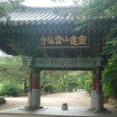 달맞이 흑두부 이미지