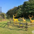 주래본죽로 이미지