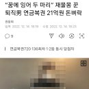 넝쿨복권 이미지