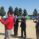용문초등학교 이미지
