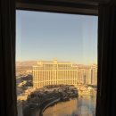 US_Las Vegas | 플래닛할리우드 울트라힙룸 6박 후기(파운틴뷰 업글 꿀팁)