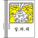 신탄진시장 이미지