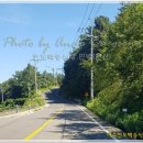 백송민박 이미지