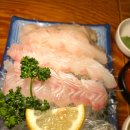 활어세상 이미지