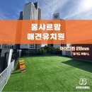 몽샤르망 애견유치원 | 「경기 인천 부평」 몽샤르망 애견유치원 옥상 배수가 잘 되는 조경용 고강도 고밀도 인조잔디 시공
