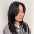 영주헤어샵 | 대전 1인 헤어샵 [미프헤어] 복합터미널 레이어드 컷 잘하는 곳