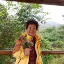 고비올 농장 이미지