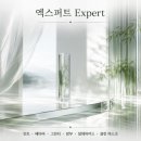 인텔렉추얼크리에이티브