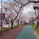 요천제방길 이미지