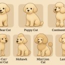 퍼피 베어(PUPPY-BEAR) 티스토리