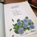 모아여인숙 이미지