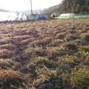 영산농장 이미지