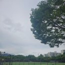 다람산근린공원 축구장 | 도봉구 초안산근린공원｜서울 북부 공원🌳
