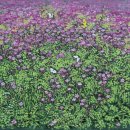 거기에/거기에서 이미지