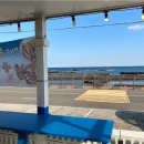 하도탐나 이미지