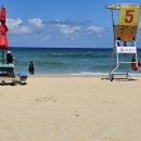 삼척해수욕장 이미지