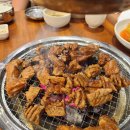 우담채 이미지