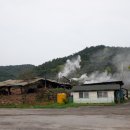 치악산둘레길 2코스 구룡길 이미지