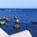 슬도주차장 이미지