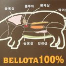 고기종점